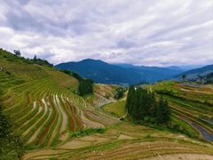 -龙脊梯田