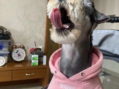 -瑞派康怡24h宠物医院·犬猫医疗中心·微创绝育(瑞景分院)