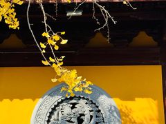 -龙华寺