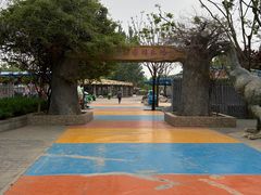-大望京公园