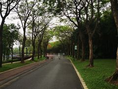 -顺峰山公园