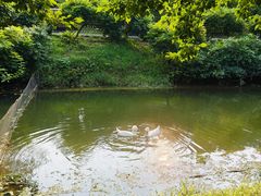 -南山风景名胜区