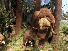 -陕西自然博物馆