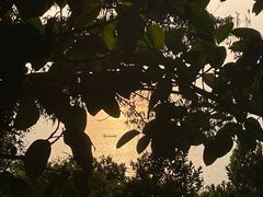 -小南山公园