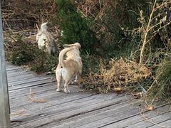 -大连旅顺潜艇博物馆