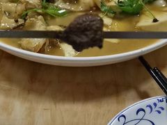 -煲来饱去冷水鱼