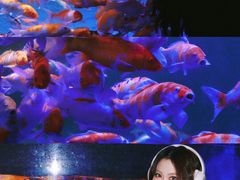 -左海海底世界