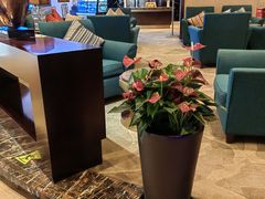 -杭州温德姆至尊豪廷大酒店