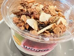 -Wagas沃歌斯(汇智店)