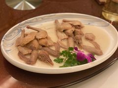 京华醉香鸽-京华世纪酒店·潮苑大酒楼(益华百货店)