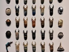 -中国美术学院象山校区-民艺博物馆