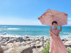 -广东惠东海龟国家级自然保护区