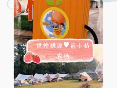 -前小桔亲子创意农场·草莓采摘·露营烧烤