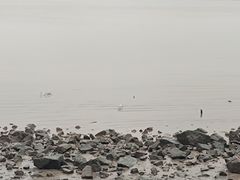 -深圳湾公园(南山区)