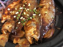 -食家鸽园