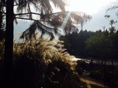 iphone_upload_pic-新江湾城公园
