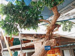 -竹泉农庄·竹筒饭(从化店)