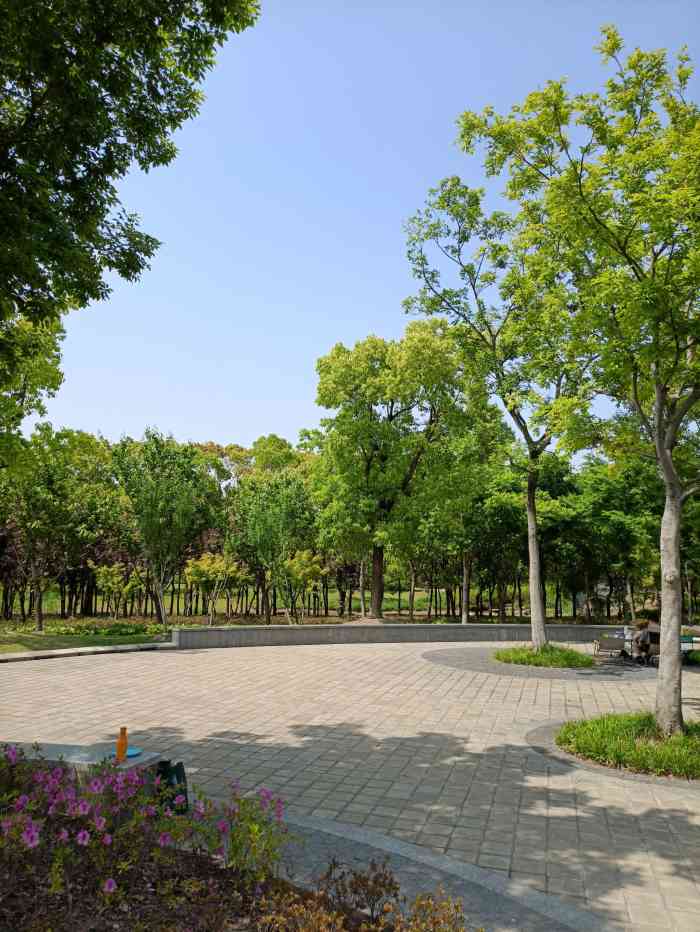 康桥生态园·秀南绿地-"因为心情不好,所以就找个公园走走,散散心.