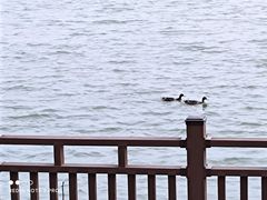 -天津水上公园