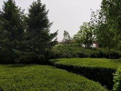 -群力丁香公园