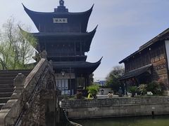 -鲁镇