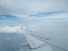 -大锅强·蒸海鲜青岛菜(吾悦广场店)