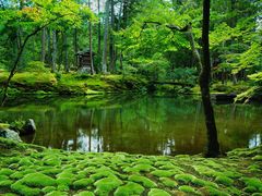 -西芳寺(苔寺)