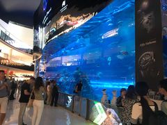 -迪拜水族馆及水下动物园