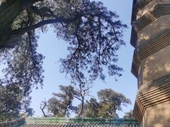 -关帝圣像景区