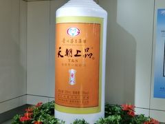 -贵阳龙洞堡国际机场-T2航站楼