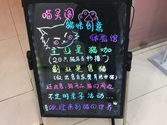 -三花喵·撸猫购宠·宠物生活馆(虹桥南丰城店)