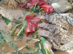 -庆岭迎宾园正宗活鱼馆