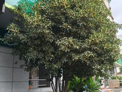 -中国邮政储蓄银行(鞍山路营业所)