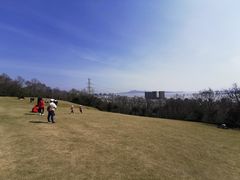 -青龙山公园