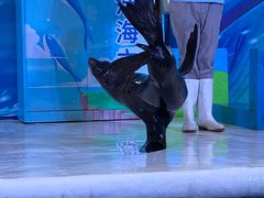 -成都浩海立方海洋公园