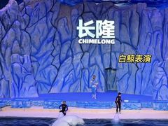 -珠海长隆海洋王国