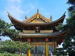 -上海东林寺(金山区)