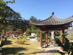-广州神农草堂中医药博物馆