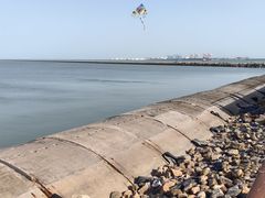 -东疆建设开发纪念公园