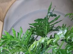 -相遇·鲜炒黄牛肉(丹阳吾悦广场店)