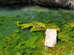 -湖洞水自然风景区