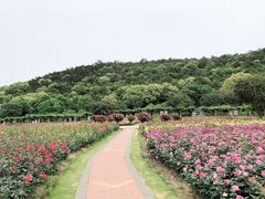 -龙寺生态园