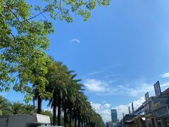 -旺富东海大酒楼(海鲜街店)