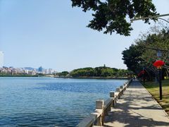 -白鹭洲公园