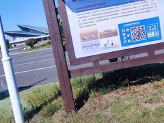 -盐城丹顶鹤湿地生态旅游区