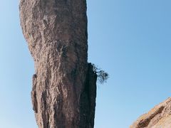 -磬锤峰森林公园