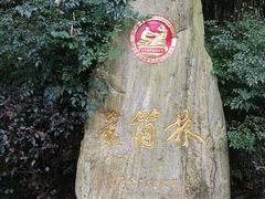 -邓小平故里
