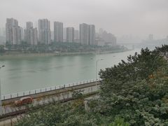 -李子坝梁山鸡(李子坝大鸡哥店)