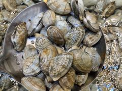 -老姑砂锅·烧烤天津菜(体北道店)