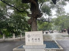 -北陵公园